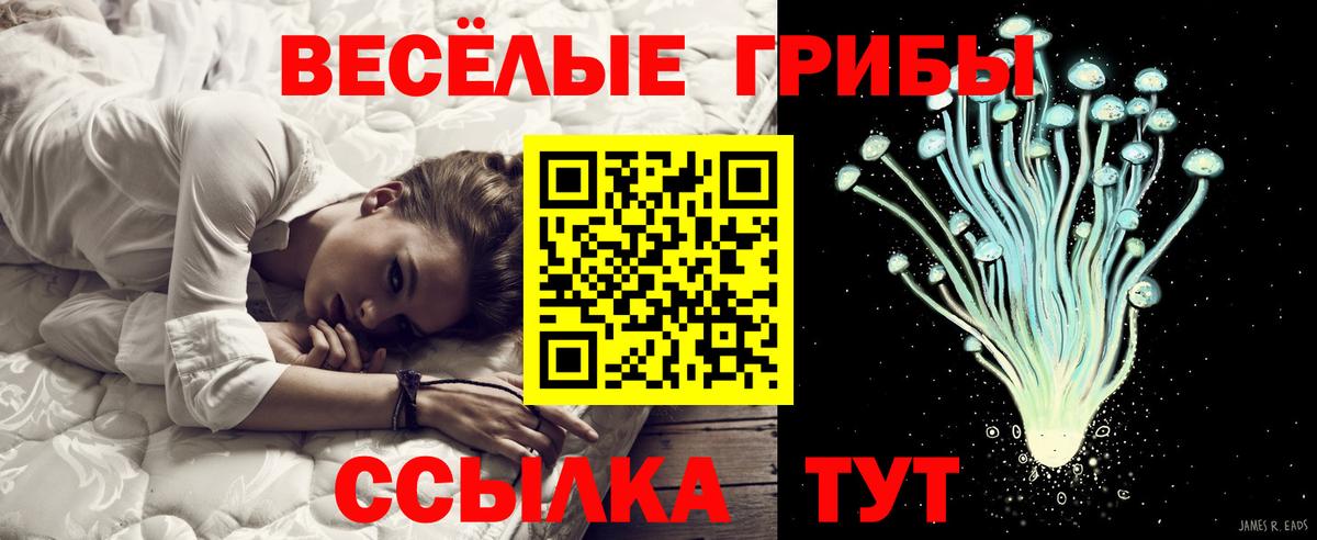 Псилоцибиновые грибы GOLDEN TEACHER Соликамск